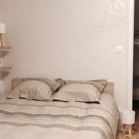 Le Cygne, Appartement De Standing En Hyper-Centre Sarreguemines Kültér fotó