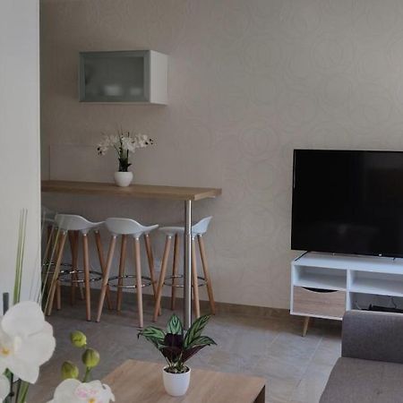Le Cygne, Appartement De Standing En Hyper-Centre Sarreguemines Kültér fotó