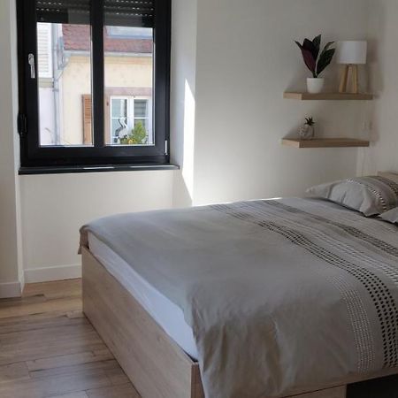 Le Cygne, Appartement De Standing En Hyper-Centre Sarreguemines Kültér fotó