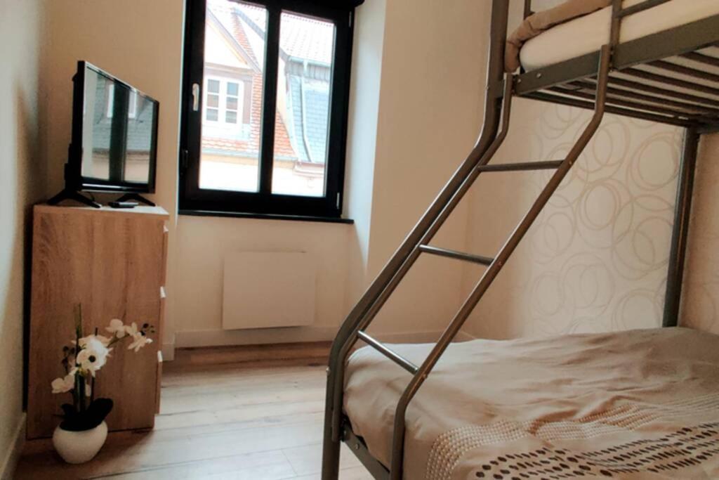 Le Cygne, Appartement De Standing En Hyper-Centre Sarreguemines Kültér fotó
