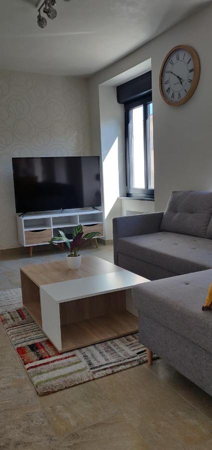 Le Cygne, Appartement De Standing En Hyper-Centre Sarreguemines Kültér fotó