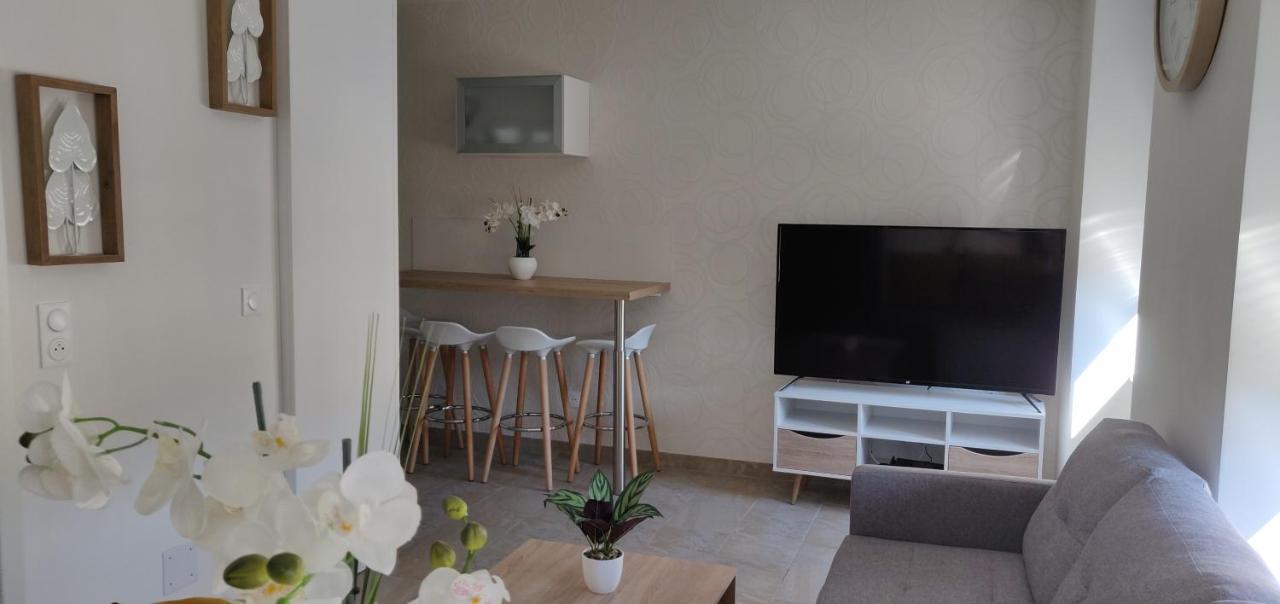Le Cygne, Appartement De Standing En Hyper-Centre Sarreguemines Kültér fotó
