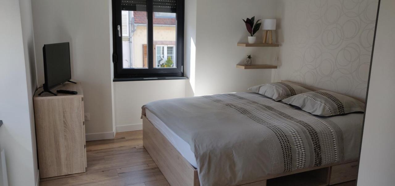 Le Cygne, Appartement De Standing En Hyper-Centre Sarreguemines Kültér fotó