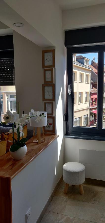 Le Cygne, Appartement De Standing En Hyper-Centre Sarreguemines Kültér fotó