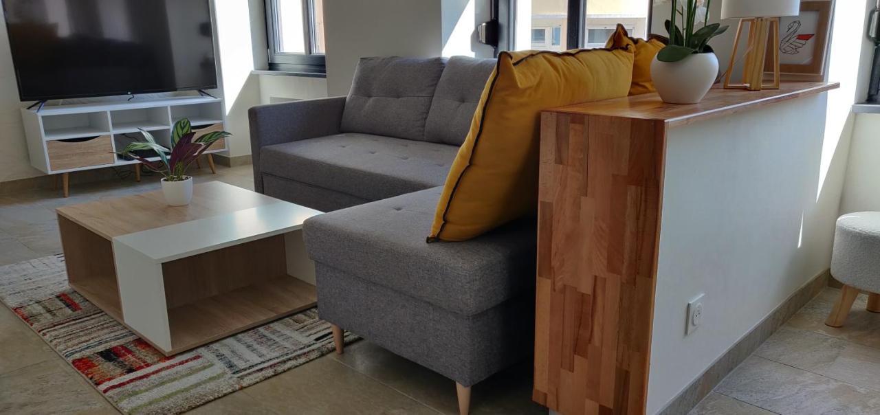 Le Cygne, Appartement De Standing En Hyper-Centre Sarreguemines Kültér fotó
