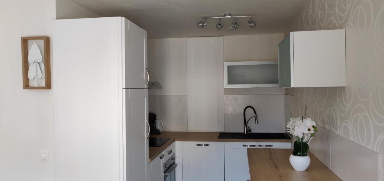 Le Cygne, Appartement De Standing En Hyper-Centre Sarreguemines Kültér fotó