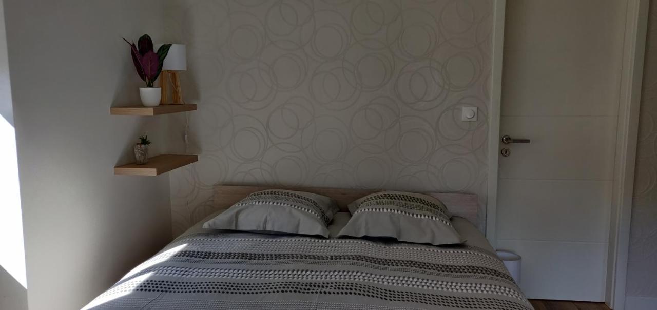 Le Cygne, Appartement De Standing En Hyper-Centre Sarreguemines Kültér fotó