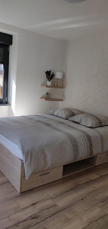 Le Cygne, Appartement De Standing En Hyper-Centre Sarreguemines Kültér fotó